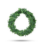 https://velizo.de/termekkategoria/szepsegapolas-egeszseg/