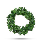 https://velizo.de/termekkategoria/szepsegapolas-egeszseg/