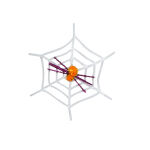 https://velizo.de/termekkategoria/szepsegapolas-egeszseg/