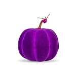https://velizo.de/termekkategoria/szepsegapolas-egeszseg/