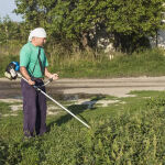 https://velizo.de/termekkategoria/szepsegapolas-egeszseg/