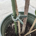https://velizo.de/termekkategoria/szepsegapolas-egeszseg/