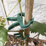 https://velizo.de/termekkategoria/szepsegapolas-egeszseg/
