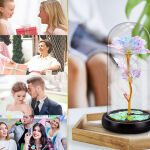 https://velizo.de/termekkategoria/szepsegapolas-egeszseg/