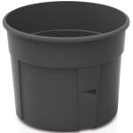 https://velizo.de/termekkategoria/szepsegapolas-egeszseg/