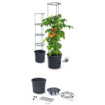 https://velizo.de/termekkategoria/szepsegapolas-egeszseg/