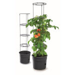 https://velizo.de/termekkategoria/szepsegapolas-egeszseg/