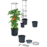 https://velizo.de/termekkategoria/szepsegapolas-egeszseg/