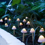 https://velizo.de/termekkategoria/szepsegapolas-egeszseg/
